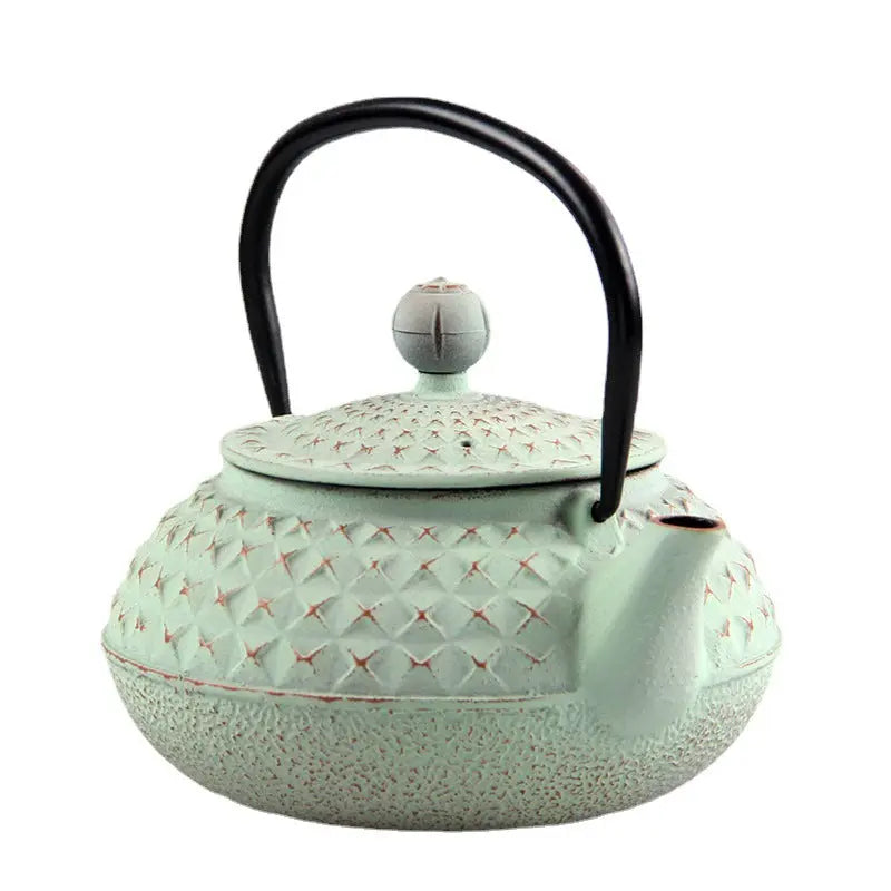 Théière Japonaise en Fonte avec des Piques 600ml